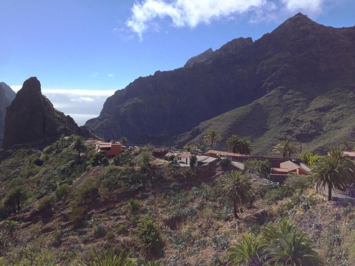 Wifi Tenerife Sur Guest House Granadilla De Abona Exterior photo