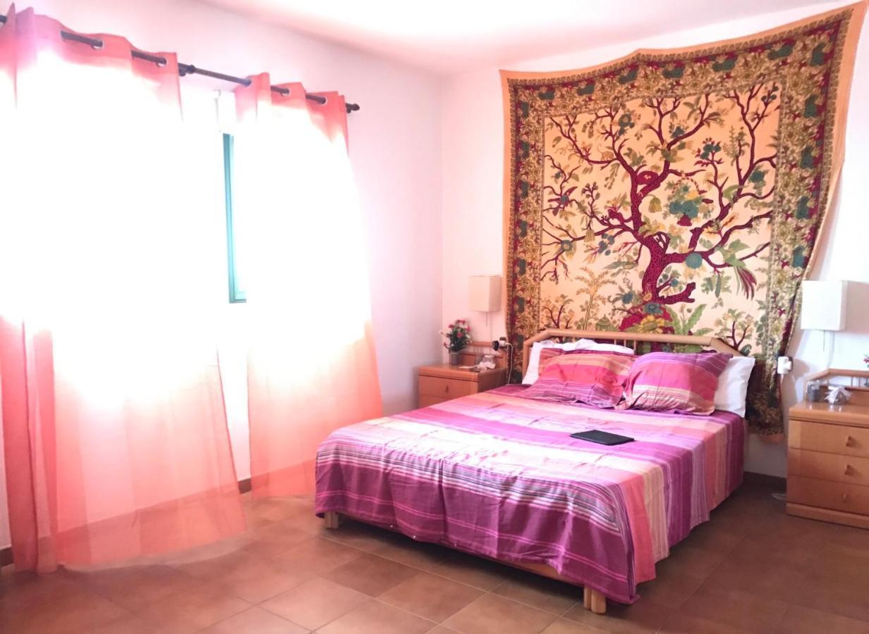 Wifi Tenerife Sur Guest House Granadilla De Abona Exterior photo